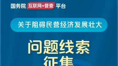 亚洲se51n综合网国务院“互联网+督查”平台公开征集阻碍民营经济发展壮大问题线索